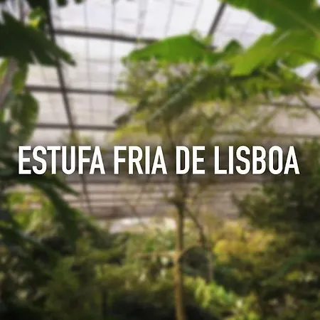 Chez Jacqueline شقة